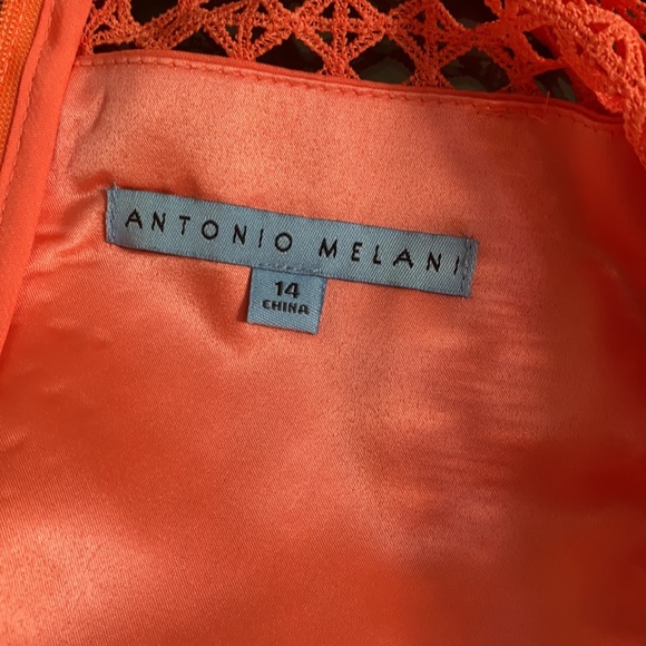 FIRM..Antonio Melani Stella Lace Scallop A Line Dress. - Picture 5 of 13